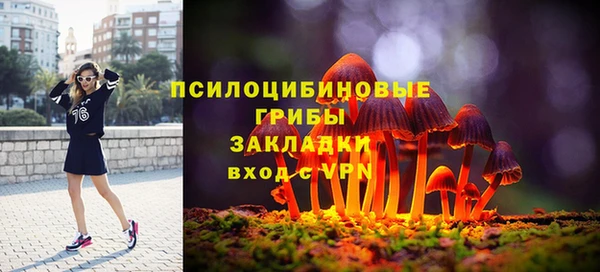 первитин Заводоуковск