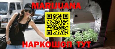 apvp Краснодар