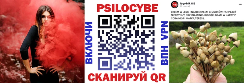 Галлюциногенные грибы мицелий  наркошоп  Искитим 