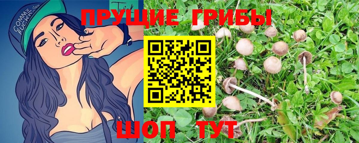Галлюциногенные грибы Psilocybine cubensis  наркотики  Искитим  Вход с VPN 